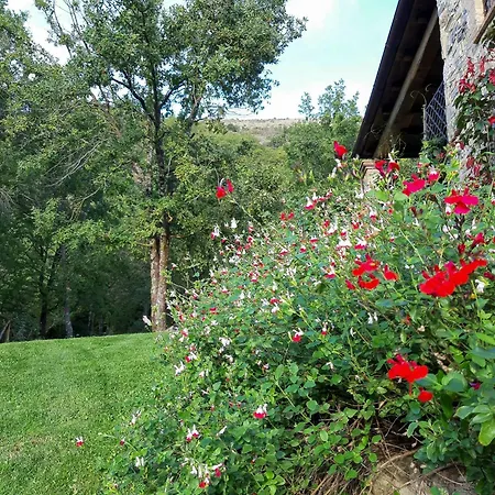 With Private Pool In Umbria Umbertide